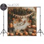 Backdrop autumn theme 4025