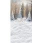 Hintergründe Weihnachtsthema Winter 3961