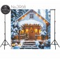 Backdrop Christmas Winter theme 3968