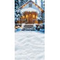 Backdrop Christmas theme 3968