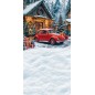 Backdrop Christmas theme 3991