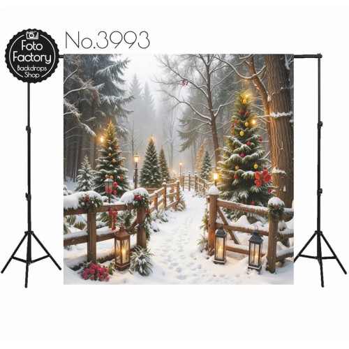 Backdrop Christmas Winter theme 3993