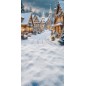 Backdrop Christmas Winter theme 3992