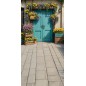 Backdrop spring theme flowers blue door 4068