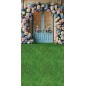 Backdrop spring theme flowers blue door 4071