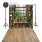 Backdrop plants window 4104