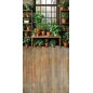 Backdrop plants window 4104