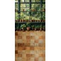 Backdrop plants window 4105