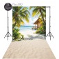 Hintergründe Strand Palmen Ferienhaus 4119