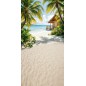 Hintergründe Strand Palmen Ferienhaus 4119
