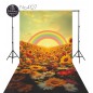 Hintergründe Regenbogen Sonnenblumen 4127