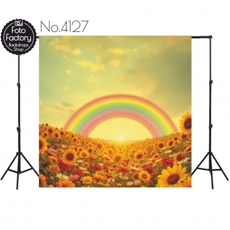 Hintergründe Regenbogen Sonnenblumen 4127