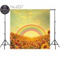Hintergründe Regenbogen Sonnenblumen 4127