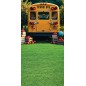 Backdrop school bus school theme 4152