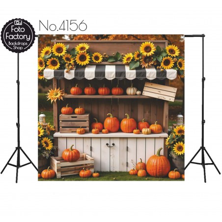 Backdrop autumn theme 4156
