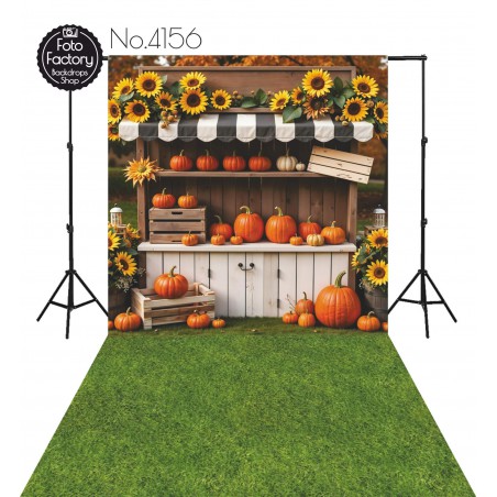 Backdrop autumn theme 4156