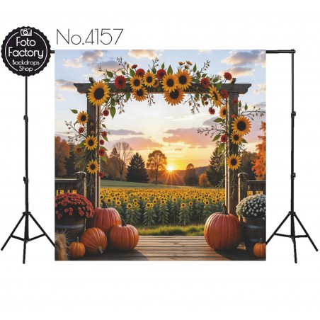 Tło Fotograficzne motyw jesienny jesień 4157