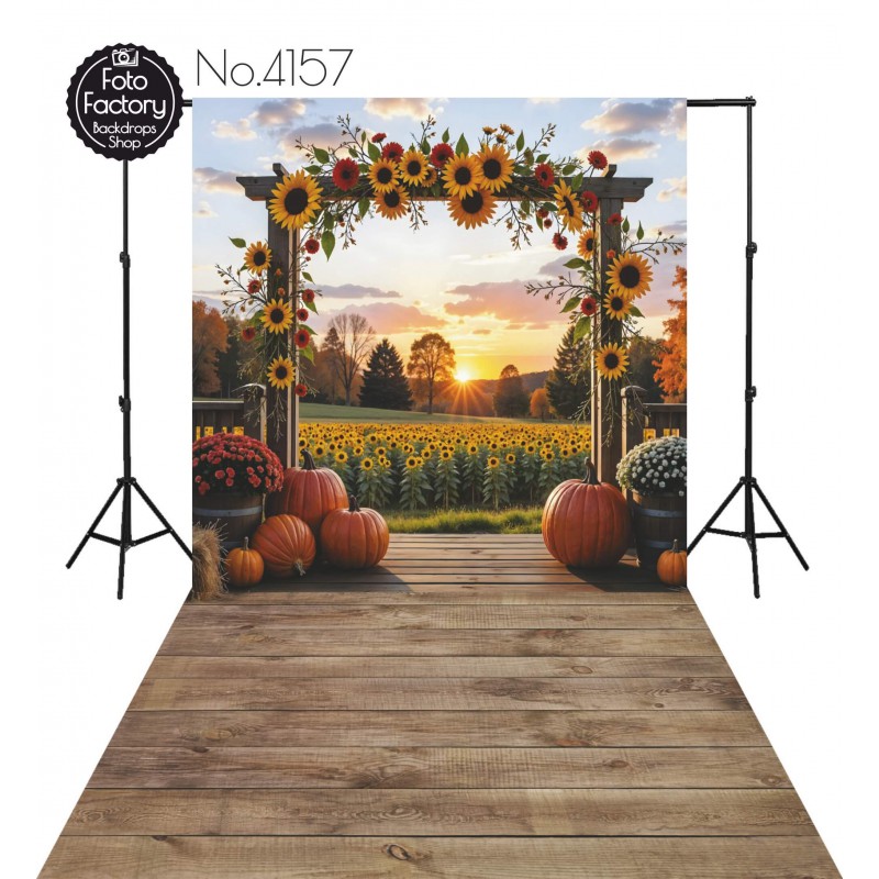 Hintergründe Herbstthema Herbst 4157