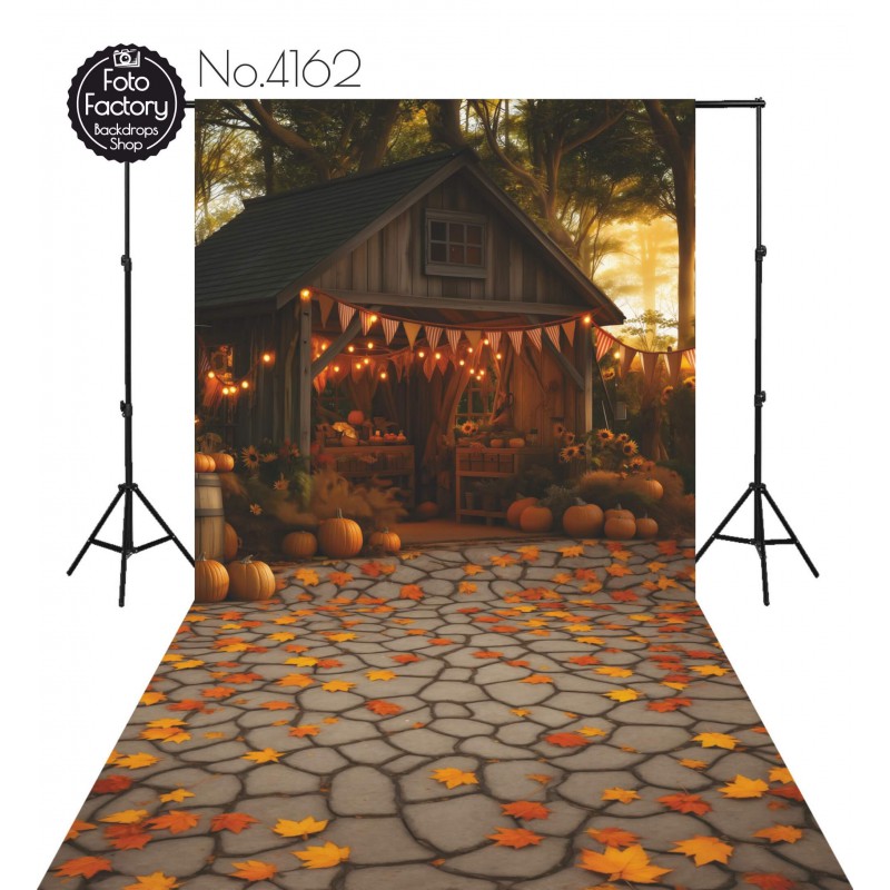 Hintergründe Herbstthema Herbst 4162