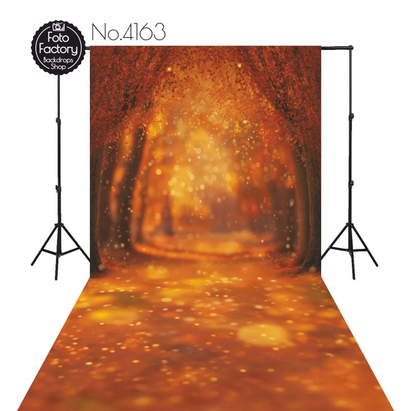 Hintergründe Herbstthema Herbst 4163