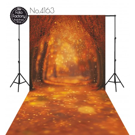 Hintergründe Herbstthema Herbst 4163