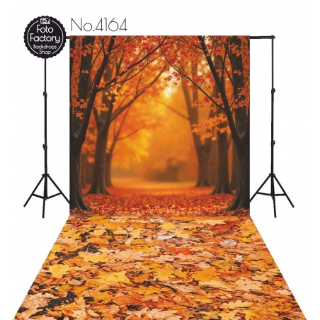 Hintergründe Herbstthema Herbst 4164