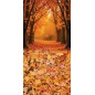Hintergründe Herbstthema Herbst 4164