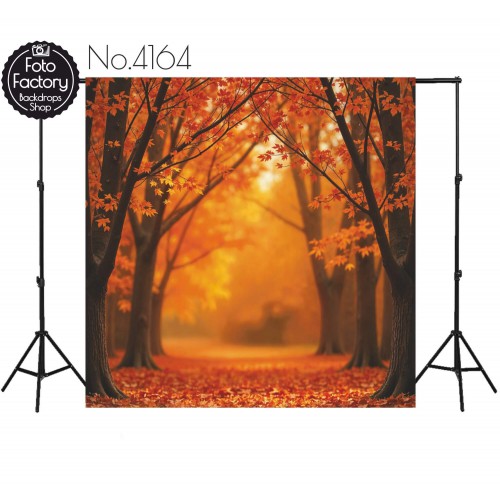 Hintergründe Herbstthema Herbst 4164