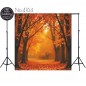 Backdrop autumn theme 4164