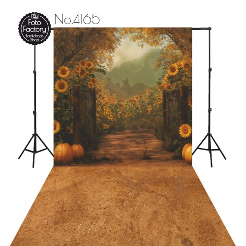 Hintergründe Herbstthema Herbst 4165