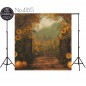 Backdrop autumn theme 4165