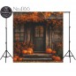 Hintergründe Herbstthema Herbst 4166