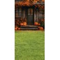 Hintergründe Herbstthema Herbst 4166