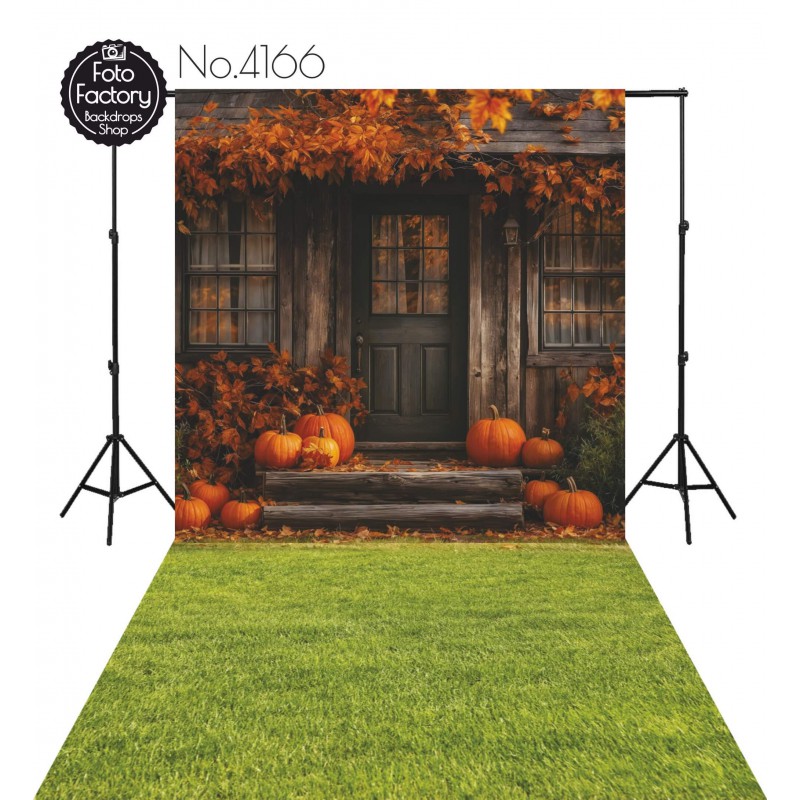 Hintergründe Herbstthema Herbst 4166