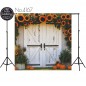 Backdrop white rustic door 4167