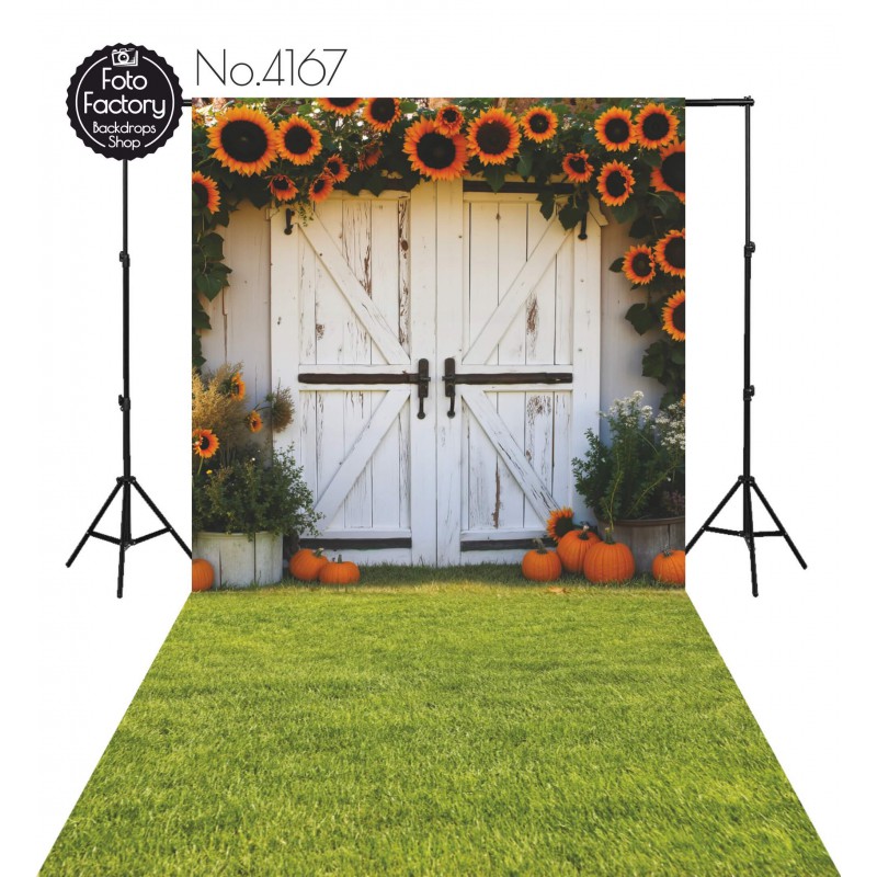 Backdrop white rustic door 4167