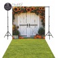 Backdrop white rustic door 4167