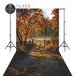 Hintergründe Herbstthema Herbst 4168