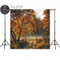 Backdrop autumn theme 4168