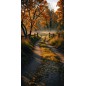 Hintergründe Herbstthema Herbst 4168