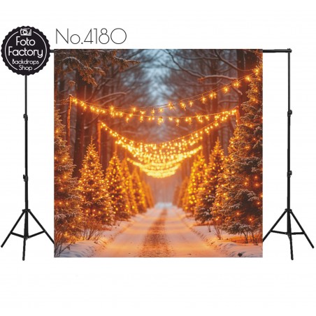 Backdrop Christmas theme 4180
