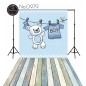 Tło fotograficzne 0979 100x150 cm - winyl ultra matowy - oferta outletowa
