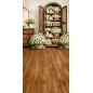 Backdrop spring theme flowers 4203