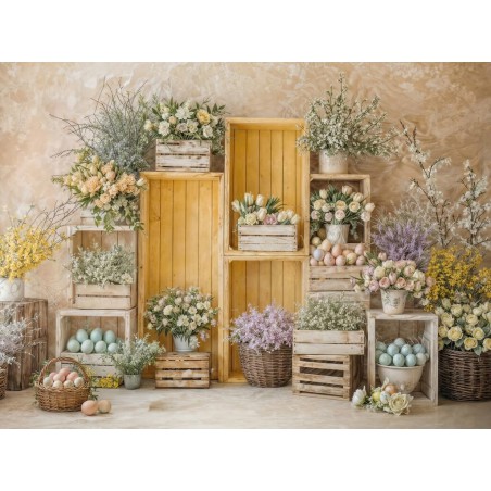 Hintergründe frühlingshaft Frühling Blumen 4208