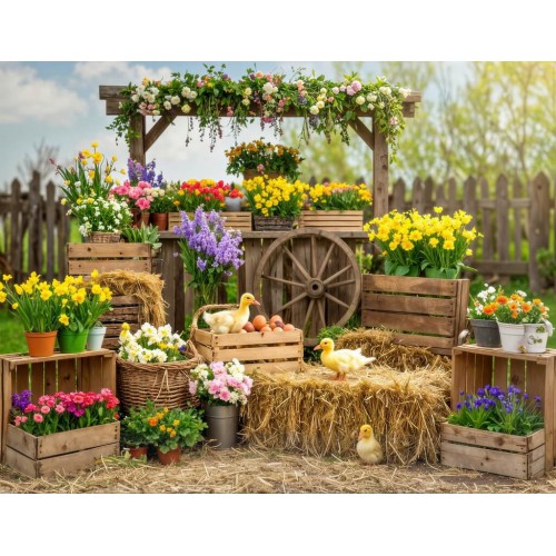 Hintergründe frühlingshaft Frühling Blumen 4209