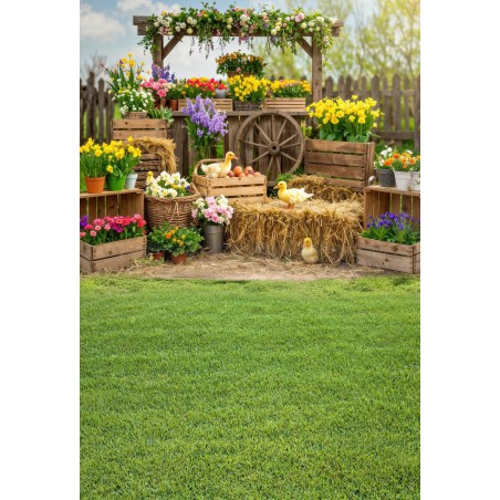 Hintergründe frühlingshaft Frühling Blumen - Fotofactory24.pl