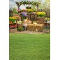 Hintergründe frühlingshaft Frühling Blumen 4209 Hintergründe frühlingshaft Frühling Blumen 4209