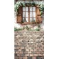 Backdrop spring theme flowers window 4211