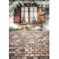 Hintergründe frühlingshaft Frühling Blumen Fenster 4211