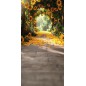 Hintergründe frühlingshaft Frühling Blumen 4215